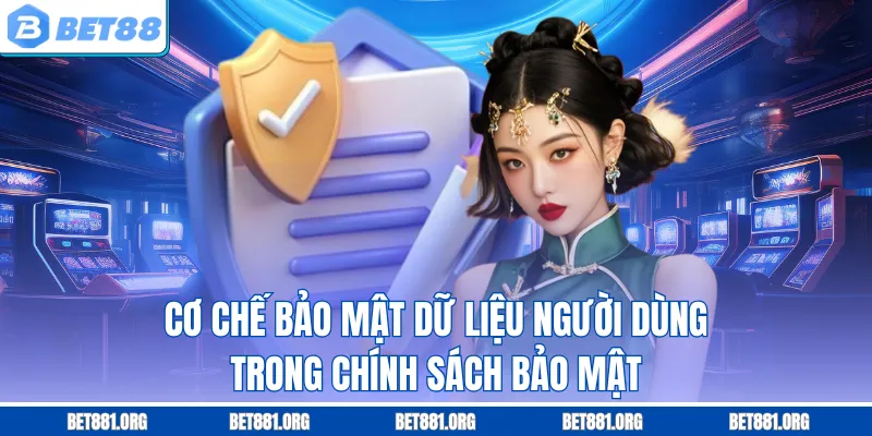 Cơ chế bảo mật dữ liệu người dùng trong chính sách bảo mật