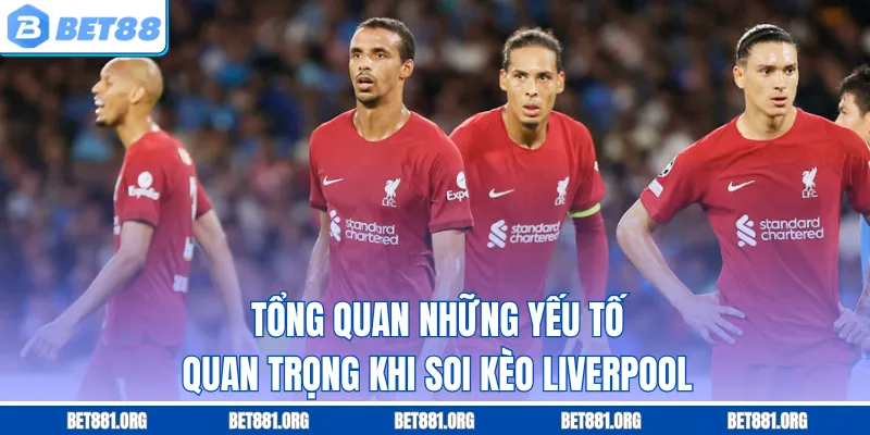 Tổng quan những yếu tố quan trọng khi soi kèo Liverpool